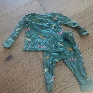 Christian Robinson big pajama bug green set 12m